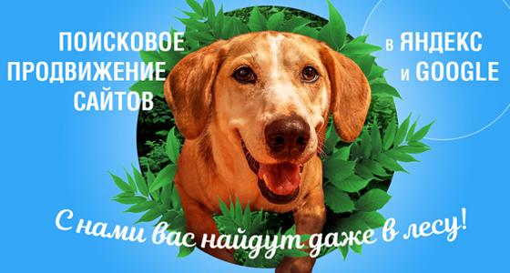 Поисковое продвижение сайта в Яндекс и Google